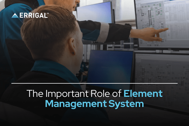 The Important Role of Element  Management System In Network Monitoring